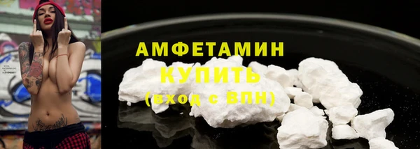 дживик Богородск