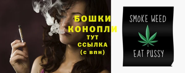 хмурый Богородицк