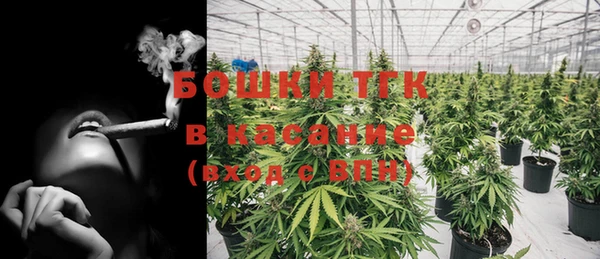 хмурый Богородицк