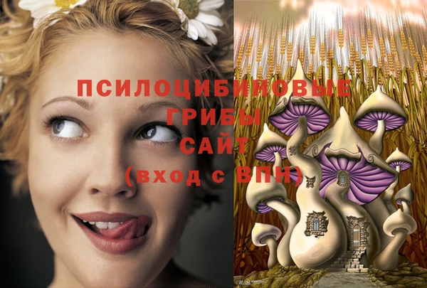 кокс Богданович