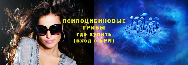 хмурый Богородицк